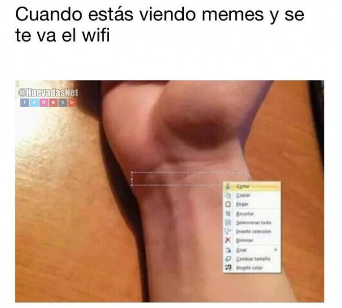 Cuando estás viendo memes y se te va el WiFi