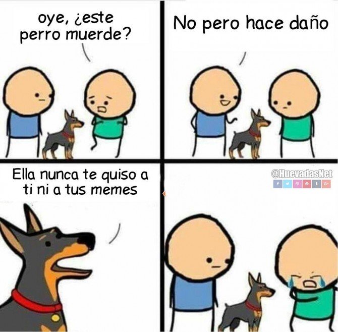 El perro que no muerde pero hace daño xd