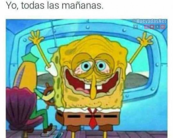 Yo todas las mañanas