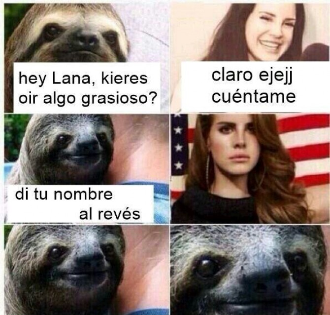 Este perezoso es un loquillo XdxDxd (no digan Lana al revés :v)