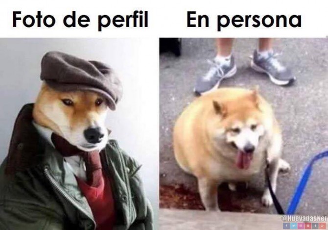 La verdad de las fotos de perfil en las redes sociales xd