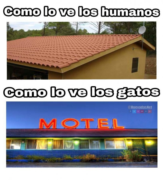 Así es la realidad, todas las noches van al motel xd