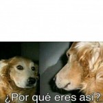 Create Por que eres asi? - Perro Meme